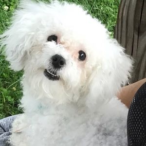 Meet your Posher, Tanisha